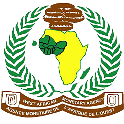 CEDEAO : AMAO recherche un Responsable des TIC