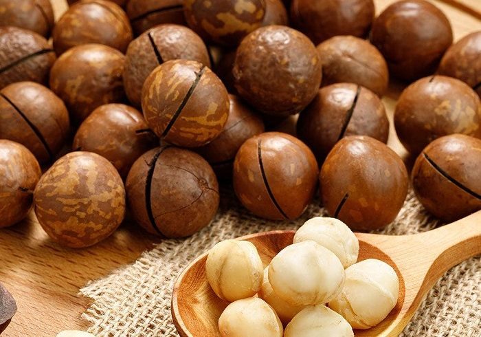 La filière macadamia et le miel soutiennent l'économie verte