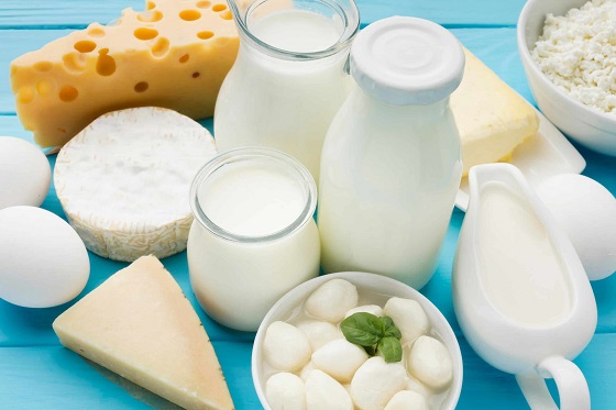 Pure Dairy Herds lance au Nigéria un ambitieux projet d'élevage dans l'État d'Ogun afin de réduire la dépendance aux importations de lait.