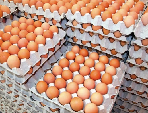 Le Burkina Faso fixe de nouveaux prix maximums pour les œufs de poule pondeuse afin d’encadrer le marché