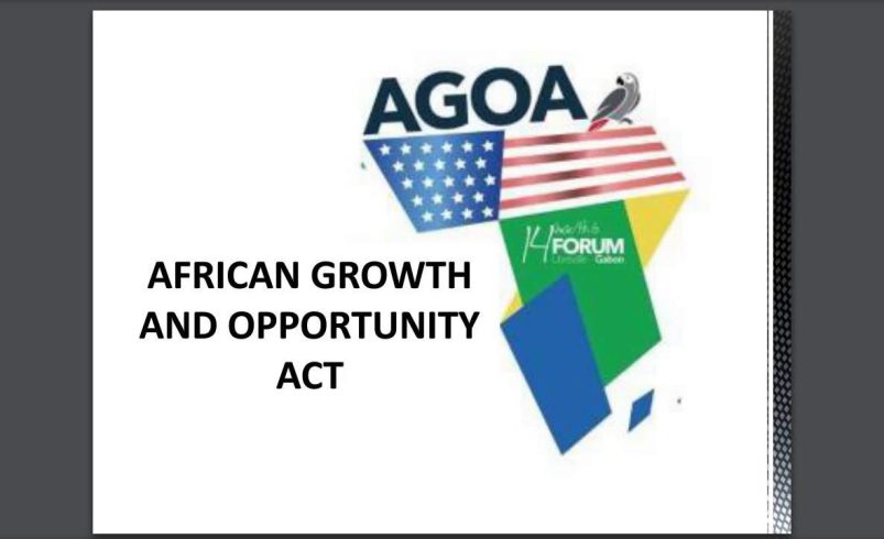 L’Afrique doit profiter de l’incertitude entourant l’avenir de l’African Growth and Opportunity Act (AGOA) pour prendre l’initiative