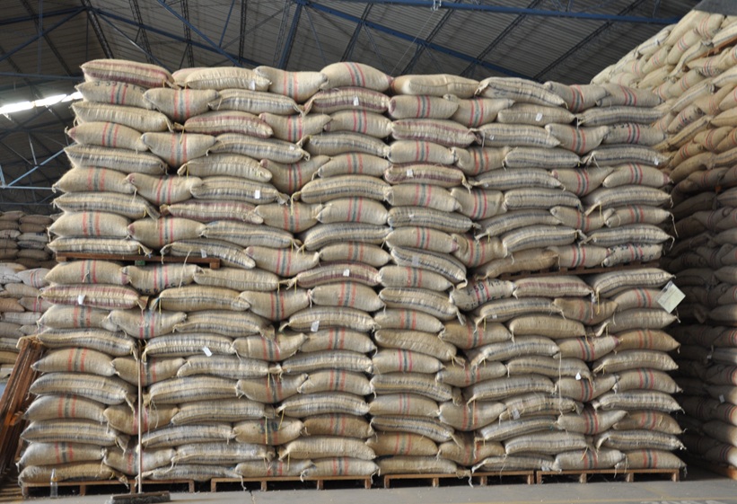 Côte d’Ivoire : Le riz bientôt assuré contre les mauvaises récoltes