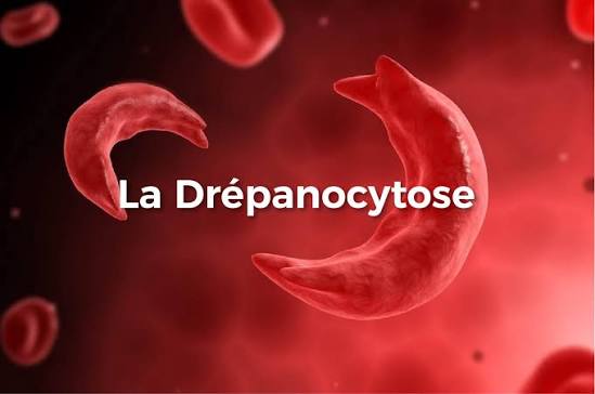 Le Sénégal veut désormais produire davantage de médicaments destinés à son propre marché et à celui du continent notamment la drépanocytose.